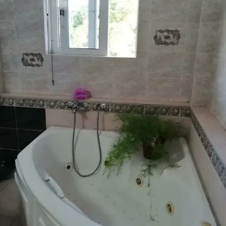 Appartamento Sea Side Alexandra *